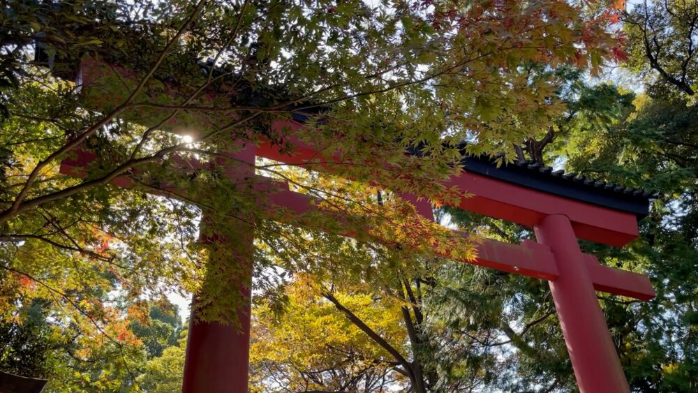大宮氷川神社は子宝・良縁・縁結びの最強パワースポット